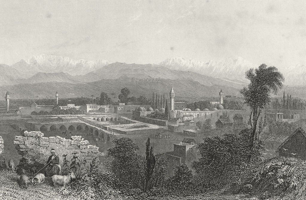 SYRIA. Tarsus, city in Cilicia. Bartlett Sheep  1840 old antique print picture